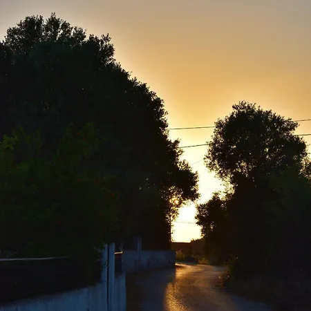 Cozy With Garden And Olive Grove Of 5 Acr Дом отдыха Mavrata