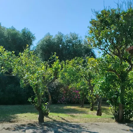 Cozy With Garden And Olive Grove Of 5 Acr *